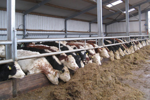 Barriers Feeders Gates